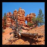 Red Canyon 02